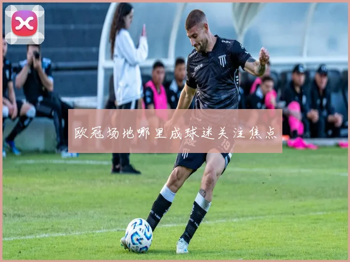 欧冠场地哪里成球迷关注焦点