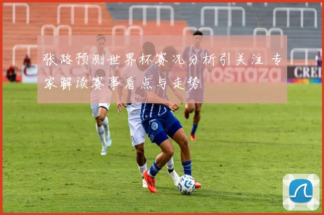 张路预测世界杯赛况分析引关注 专家解读赛事看点与走势