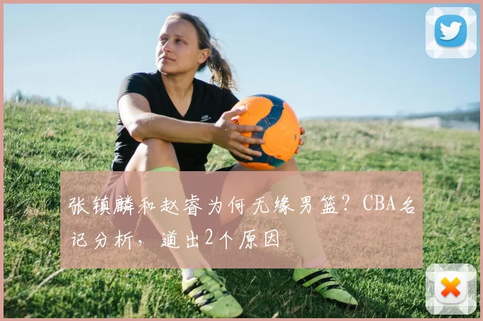 张镇麟和赵睿为何无缘男篮?CBA名记分析,道出2个原因
