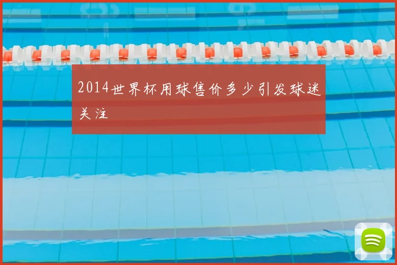2014世界杯用球售价多少引发球迷关注