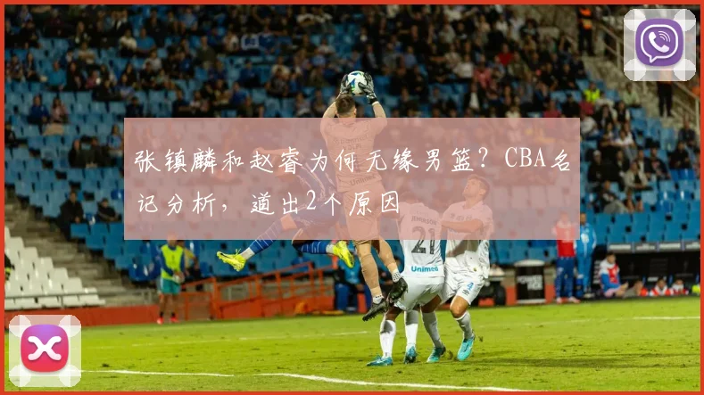 张镇麟和赵睿为何无缘男篮?CBA名记分析,道出2个原因
