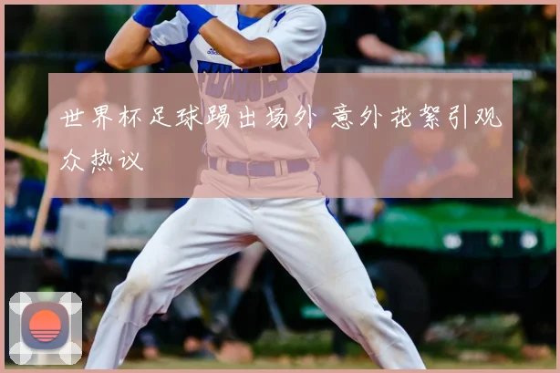 世界杯足球踢出场外 意外花絮引观众热议