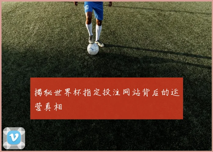 揭秘世界杯指定投注网站背后的运营真相