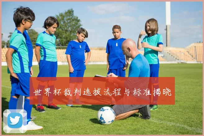 世界杯裁判选拔流程与标准揭晓