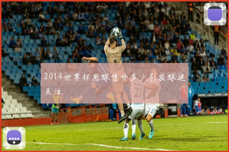 2014世界杯用球售价多少引发球迷关注