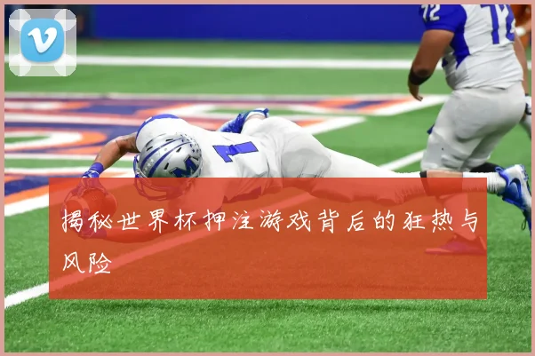 揭秘世界杯押注游戏背后的狂热与风险