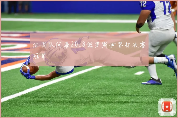 法国队问鼎2018俄罗斯世界杯决赛冠军