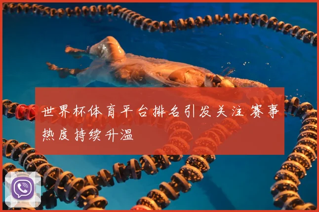 世界杯体育平台排名引发关注 赛事热度持续升温