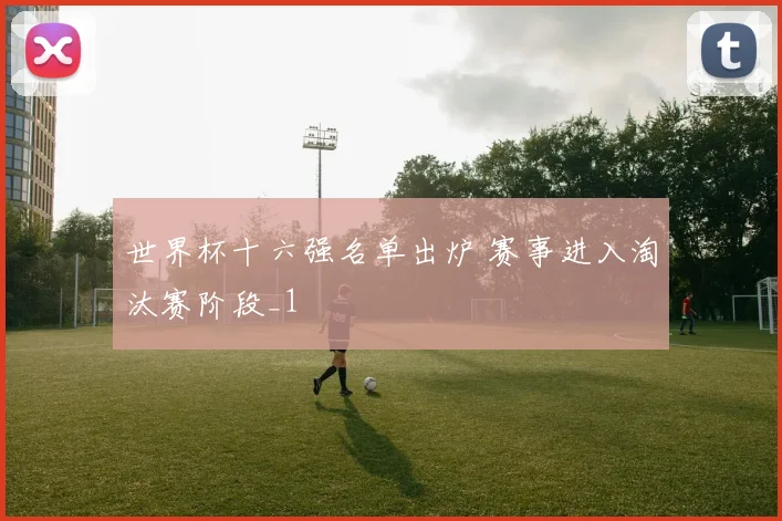 世界杯十六强名单出炉 赛事进入淘汰赛阶段_1