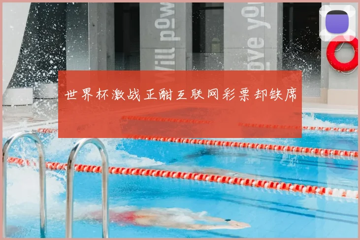 世界杯激战正酣互联网彩票却缺席