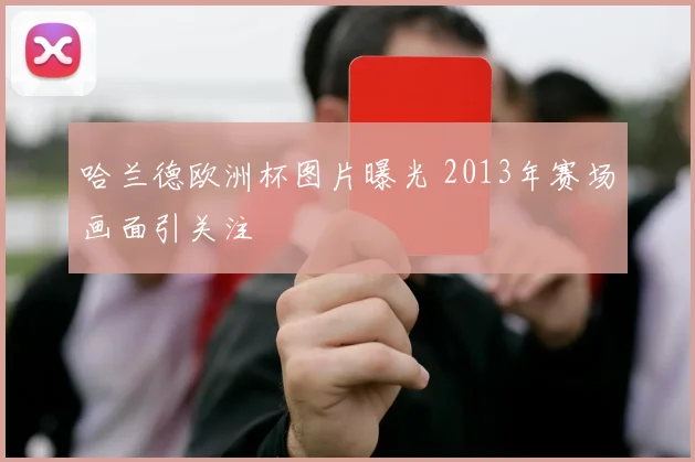 哈兰德欧洲杯图片曝光 2013年赛场画面引关注