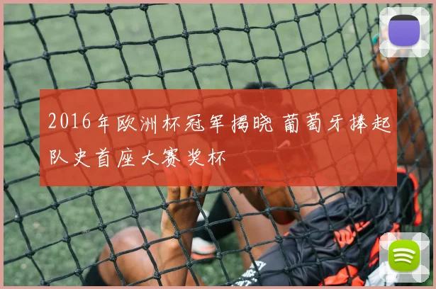 2016年欧洲杯冠军揭晓 葡萄牙捧起队史首座大赛奖杯